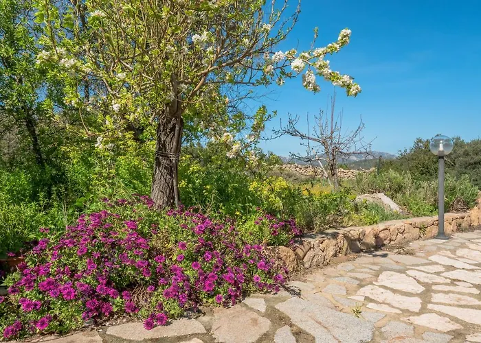 2 In In Campagna Olbia